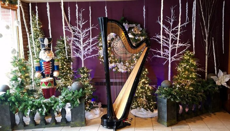 Gallery photo 3 of Samara Egan - harpist in Pittsburgh, PA