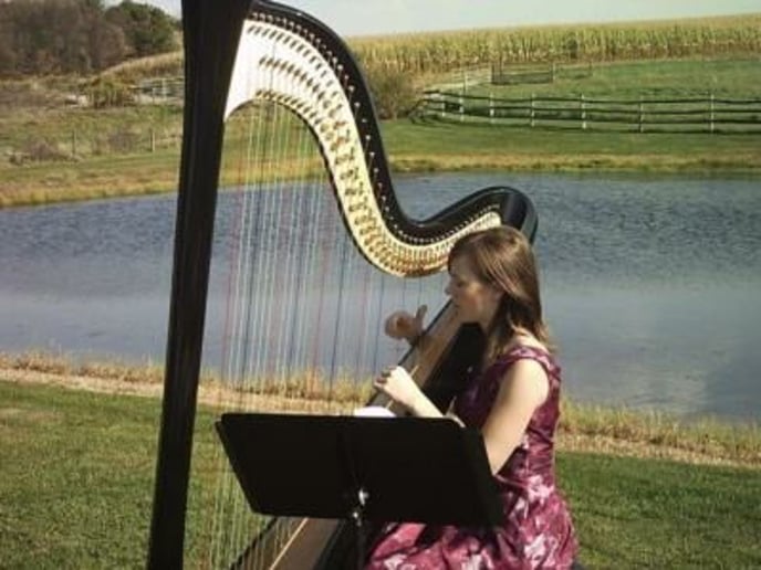 Gallery photo 4 of Samara Egan - harpist in Pittsburgh, PA
