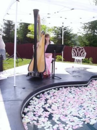 Gallery photo 5 of Samara Egan - harpist in Pittsburgh, PA