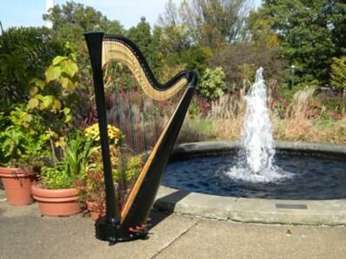 Gallery photo 6 of Samara Egan - harpist in Pittsburgh, PA