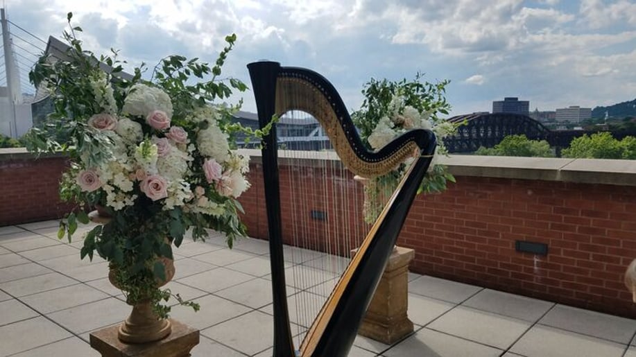 Gallery photo 9 of Samara Egan - harpist in Pittsburgh, PA