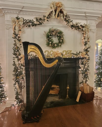 Gallery photo 10 of Samara Egan - harpist in Pittsburgh, PA