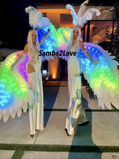 Gallery photo 8 of Samba2Love Dance Entertainment Company