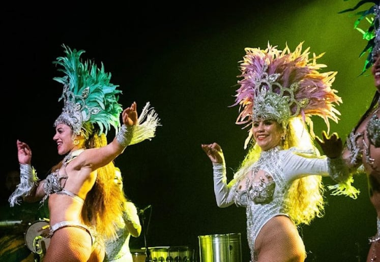 Gallery photo 8 of NC Brazilian Arts Project: Samba, Capoeira and Drums