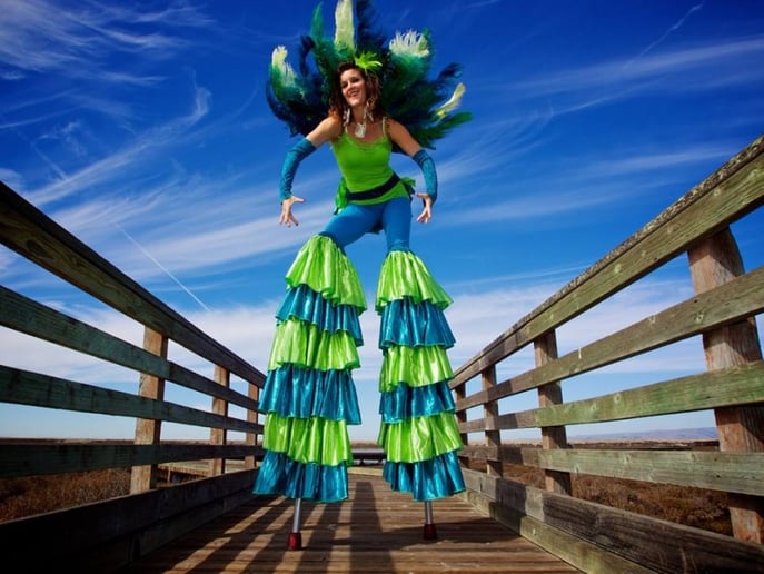 Gallery photo 64 of Samba Conmigo