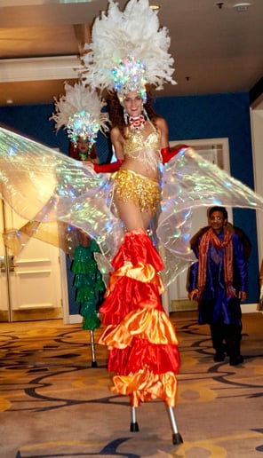 Gallery photo 12 of Samba Conmigo