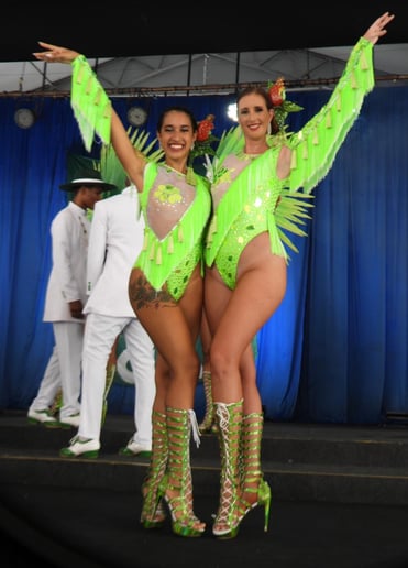 Gallery photo 4 of Samba dancer