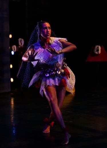 Gallery photo 3 of Samba dancer