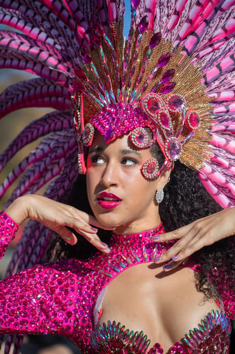 Gallery photo 8 of Samba dancer