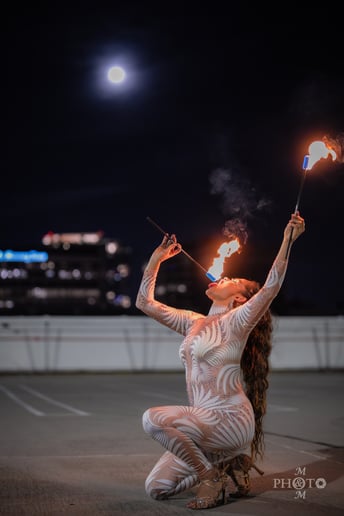 Gallery photo 6 of Samba E Fuego
