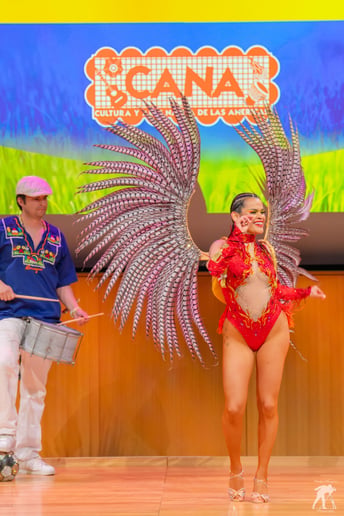 Gallery photo 10 of Samba E Fuego