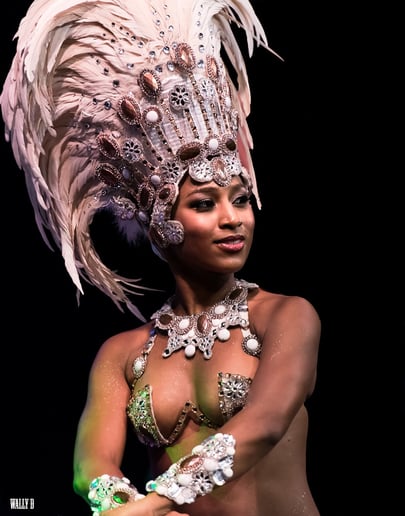 Gallery photo 10 of SambaViva Brazilian Dance and Music Ensemble