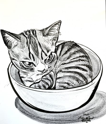 Gallery photo 4 of Samtoons