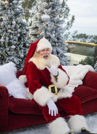 Gallery photo 3 of San Diego Santas