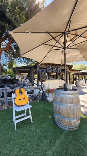 Gallery photo 3 of Southern California Acoustic Guitarist