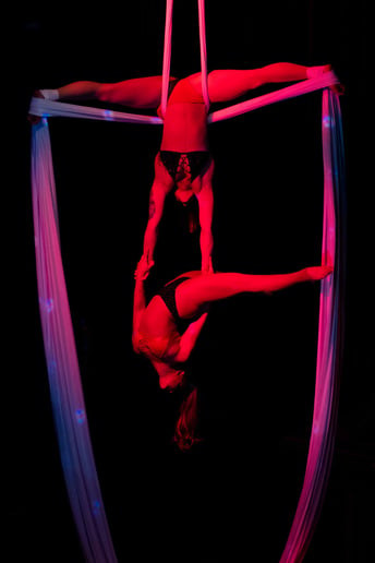 Gallery photo 3 of San Juan Circus