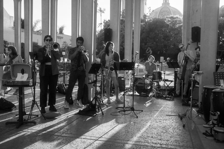 Gallery photo 5 of Sandpiper Ensemble