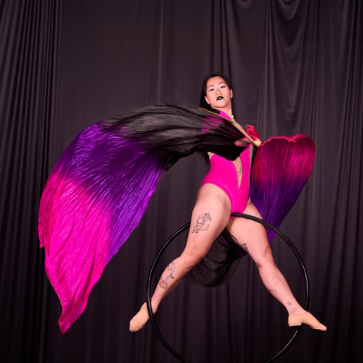 Gallery photo 3 of Sandy Arkus: Aerial Dancer
