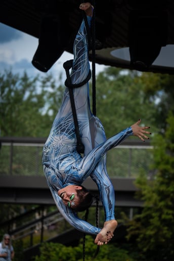 Gallery photo 2 of Sandy Arkus: Aerial Dancer