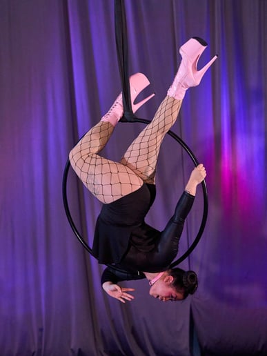 Gallery photo 4 of Sandy Arkus: Aerial Dancer