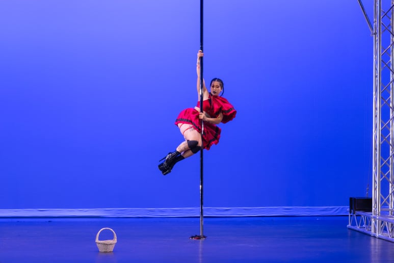 Gallery photo 5 of Sandy Arkus: Aerial Dancer