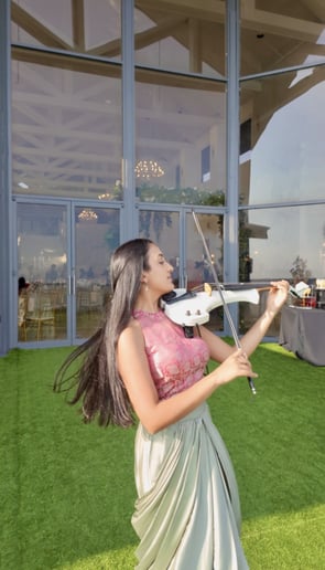 Gallery photo 4 of Sanemi Violin