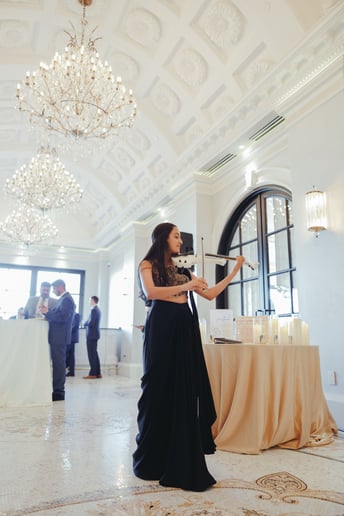 Gallery photo 1 of Sanemi Violin