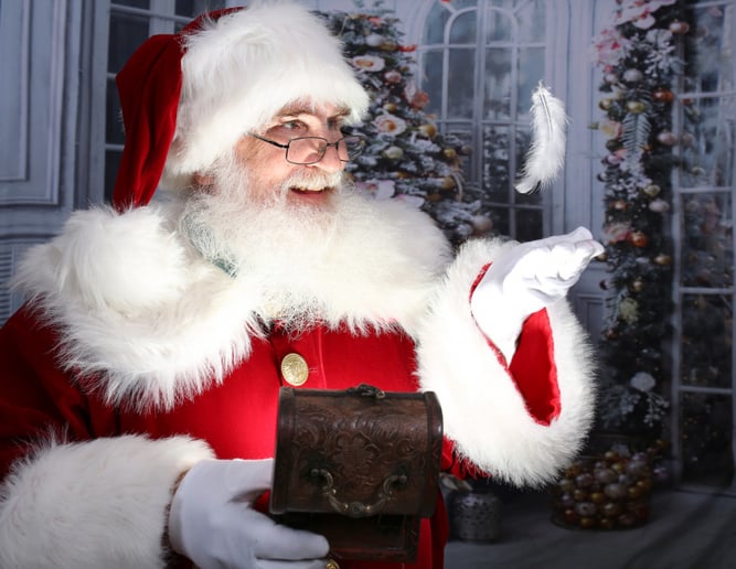 Gallery photo 1 of Sanford Santa