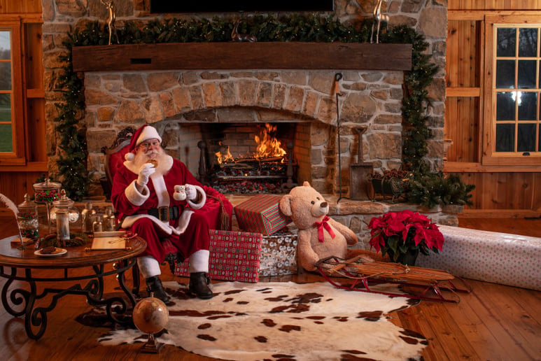 Gallery photo 7 of Santa-A-GoGo