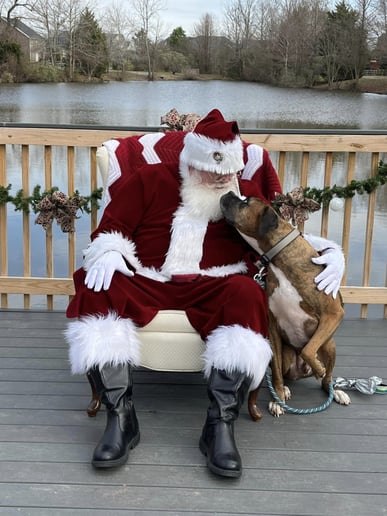 Gallery photo 9 of Santa-Hal