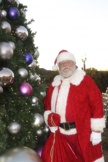 Gallery photo 4 of Santa-Sandiego