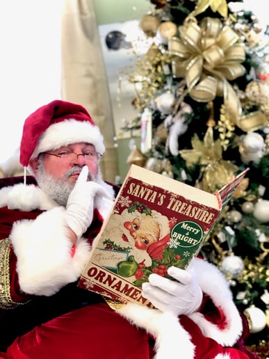 Gallery photo 10 of Santa-T