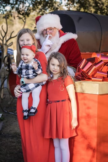 Gallery photo 1 of Santa-T