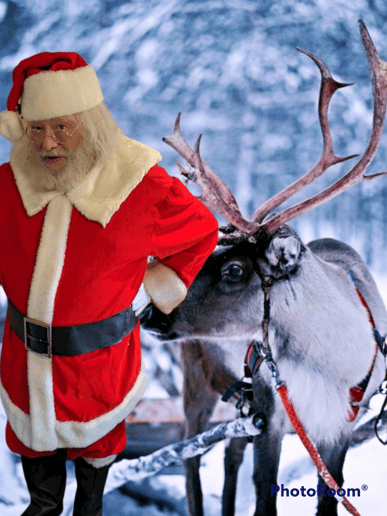 Gallery photo 8 of Santa Eric