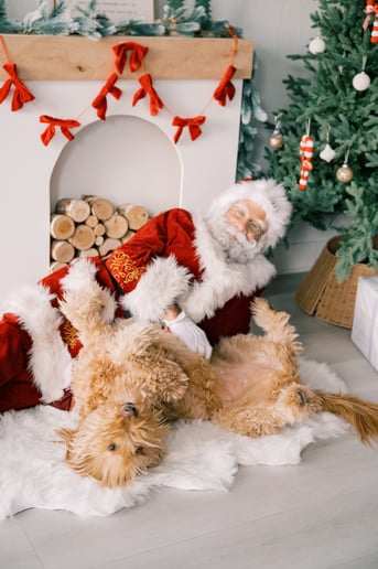 Gallery photo 8 of Santa A. Claus