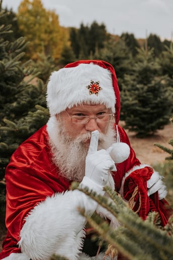 Gallery photo 1 of Santa Adam