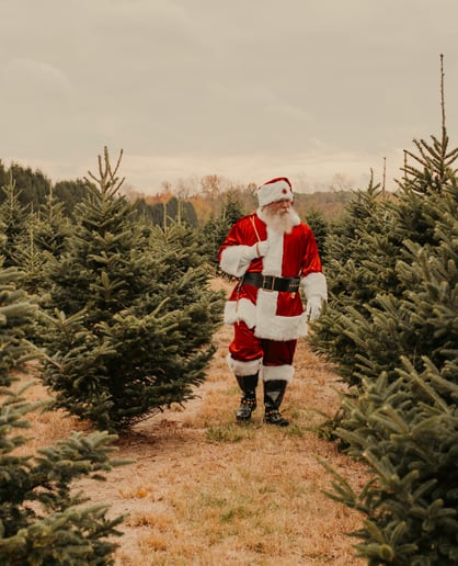 Gallery photo 2 of Santa Adam