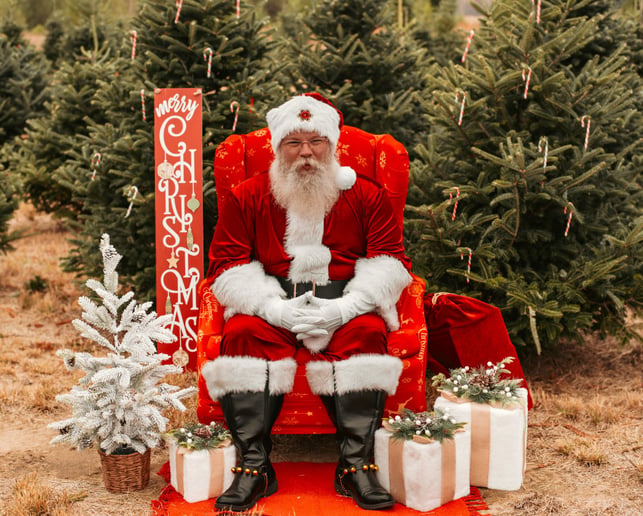 Gallery photo 3 of Santa Adam