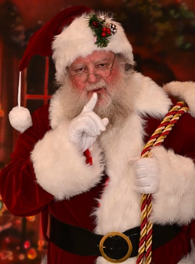 Gallery photo 3 of Santa Al Hockaday
