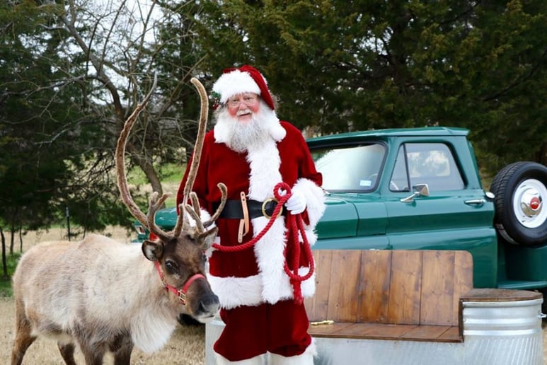 Gallery photo 8 of Santa Al Hockaday