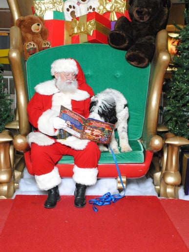 Gallery photo 1 of Santa Alan