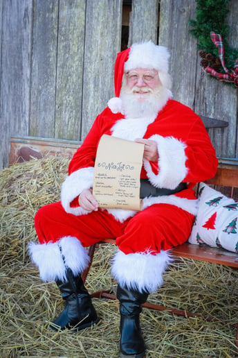 Gallery photo 2 of Santa Alan