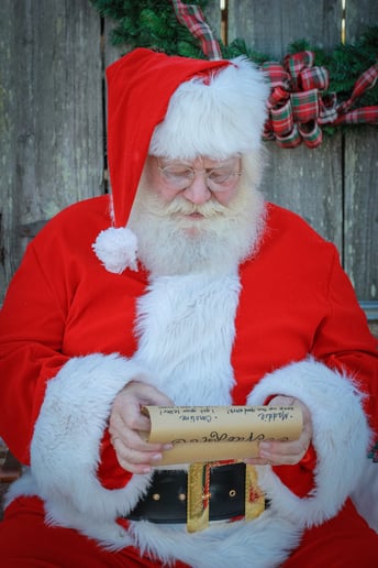 Gallery photo 4 of Santa Alan