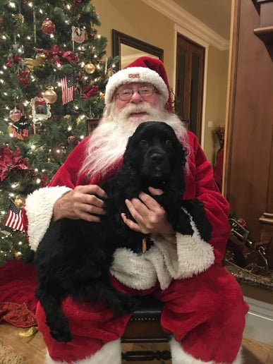 Gallery photo 9 of Santa Allen