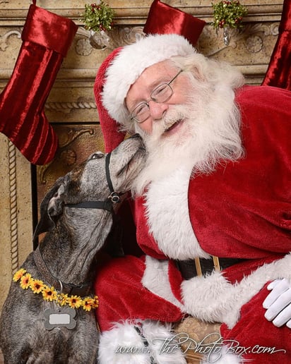 Gallery photo 6 of Santa Allen