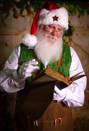 Gallery photo 4 of Santa Brian STL