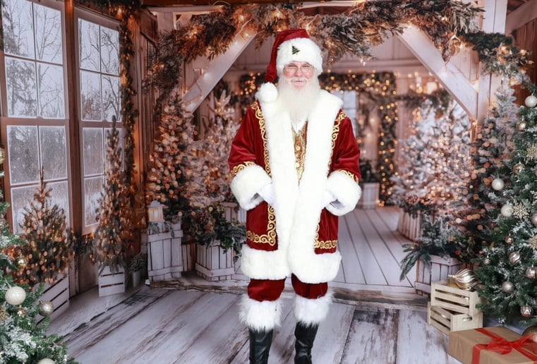 Gallery photo 3 of Santa Brian STL