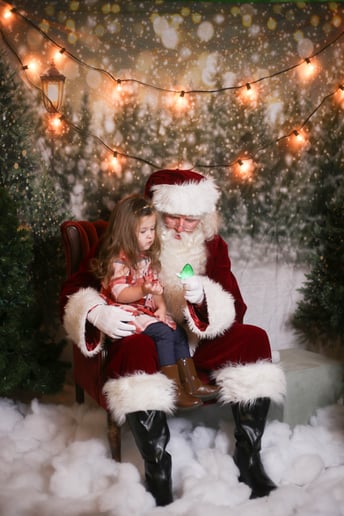 Gallery photo 3 of Santa and Friends