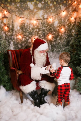 Gallery photo 6 of Santa and Friends