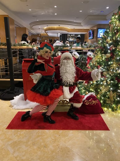 Gallery photo 6 of Santa and Friends!